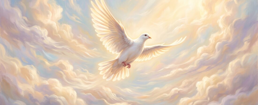 Duif zien: de spirituele betekenis