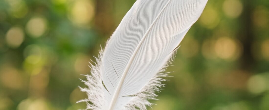 Hand die een witte veer vasthoudt in zacht licht